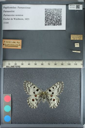 Media type: image;   Entomology 174977